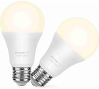 Ampoule néon LED, économie d'énergie, polyvalente, peut être utilisée dans les garages, les jardins, les cours