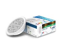 Ampoule 12Leds Couleur 2015 Weltico 64192Lc15