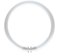 Ampoule Philips Master TL5 55W 830 circulaire 2GX13 blanc chaud [EEK: B]