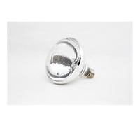 Ampoule pour Lampe Chauffante 250 W Combisteel 1 G