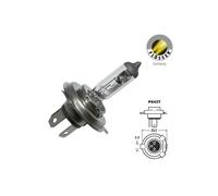 Ampoule Projecteur Flosser 12v - 35/35w - Px43t - Hs1