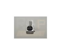 Ampoule, projecteur longue portée RAP LIGHTING RAP-D1S