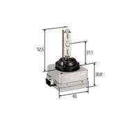 Ampoule, Projecteur Principal Hella