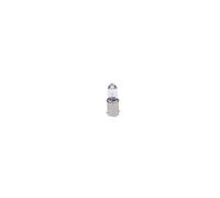 Bosch Ampoule secondaire H10W Pure Light 12V 10W 1 pièce