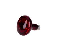 Ampoule Reptiles Planet Infrared 100 W Rouge 100 W