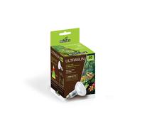 Ampoule Reptiles Planet Ultrasun Noir 50 W