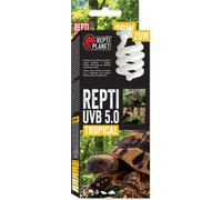 Ampoule UVB 5.0 pour terrarium, 26W Repti Planet
