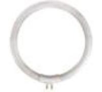 Ampoule électrique GENERIQUE Ampoule - Velleman - de rechange de 12W/T4 pour VTLAMP10