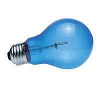 Zoomed Lampe pour Reptile/Amphibien Daylight Blue 60 W