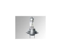 Ampoules H7, 12v 55w Px26d