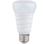 Ampoules LED pratiques argent, blanc opale 10W Globo 10618