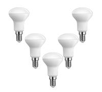 Ampoules LED R50 E14 5W Équivalent 50W Blanc Froid 6500K Sans Scintillement Économie d'Énergie 500 Lumens Pour Lampes de Table Suspensions Appliques Non Dimmable(5 Pack)