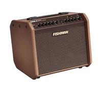 Fishman 60W sur batterie