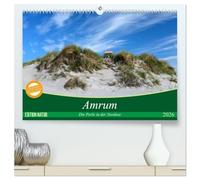 Amrum, die Perle in der Nordsee (hochwertiger Premium Wandkalender 2026 DIN A2 quer), Kunstdruck in Hochglanz: Lassen Sie sich verzaubern von der naturbelassenen Dünenlandschaft Amrums.