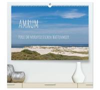Amrum - Perle im nordfriesischen Wattenmeer (hochwertiger Premium Wandkalender 2026 DIN A2 quer), Kunstdruck in Hochglanz: Traumhafte Fotografien der Nordseeinsel Amrum