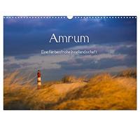 Amrum - Un paysage insulaire haut en couleur, Version française (Calendrier mural 2026 DIN A3 portrait), Calendrier CALVENDO mensuel