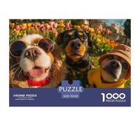AMS_2023_64029_Three_Energetic_Dogs_One_Fluffy_Cavalier_King_Ch_cebdcada-3db3-4ea8-8131-8850b82887a5 Matériau Cartonné Non Toxique Loisir Idéal pour Réduire La Pression, Profiter du Calme Et des Dive