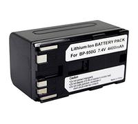 Amsahr BT-CNBP950G-1CT Numérique Remplacement Caméra/Caméscope Batterie pour Canon Bp950G/Xh G1S/Bp-950 97056Gx/Bp-970G, Gris