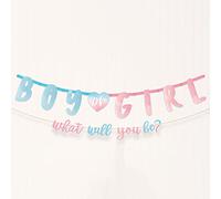 Amscan 120638-55 - Trousse de bannière de lettre de révélation de genre - 187 x 25 cm / 182 x 12 cm