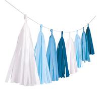 amscan 9904610 Guirlande à Franges Bleu Ciel Longueur 3 m Décoration à Suspendre Anniversaire Fête à thème Carnaval