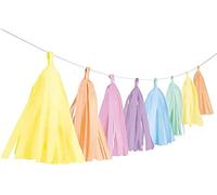 Amscan 9904613 Guirlande à Franges Pastel Arc-en-Ciel, Longueur 3 m, décoration Suspendue, Anniversaire, fête à thème, Carnaval