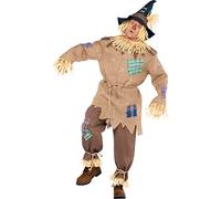 amscan Brown Mr. Scarecrow Costume with Pointed Hat for Adults