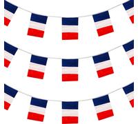 Amscan - Drapeau français - Drapeaux "Pride Passion", fête - plastique SG25472 (taille unique) (bleu/blanc/rouge)