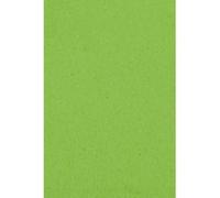 Amscan nappe de table kiwi 137 x 274 cm plastique Groen G