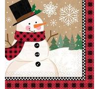 Amscan serviettes de table Winter Wonderland 33 cm blanc/rouge 16 pièces Rood G