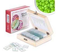 AmScope - Lot de 25 Lames Prepares en Verre pour Microscope, Avec Boite en Bois, 25 pc Sample Slide Biology Set - PS25W