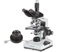 AmScope T490B-DKO 40X-2000X Microscope trinoculaire avec condensateur d'huile