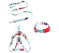 AMSLSIU 3 pièces/Kit collier pour animaux de compagnie laisse imprimer réglable petits grands animaux de compagnie harnais marche en plein air lavable cadeau personnalisé, Rose,2x120cm, L