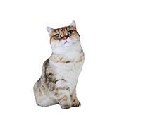 AMSLSIU Chat poupée réaliste en Peluche Jouet Meubles pour Enfants réaliste Animal en Forme 3D Aide au Sommeil PP Coton Simulation Jouets Peluche, Tapez 4, 50 cm (0.32 kg)