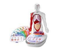 AMSLSIU Modèle interactif et éducatif du Corps Humain représentant Les Organes. Une expérience d'apprentissage captivante et ludique pour Les Enfants. Modèle des Parties du Corps Humain. Un Outil