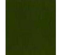 Royal Talens Amsterdam Peinture acrylique Expert - Série 2 - 75 ml - Sap Green