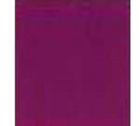 Royal Talens Amsterdam Peinture acrylique Amsterdam Expert Série 3 Rouge Permanent Violet 75 ml