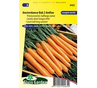 Amsterdamer Karotte 2 Graines Amfine - Graines à tubercules - et plantes à racines - Env. 2,5 g | SG0465