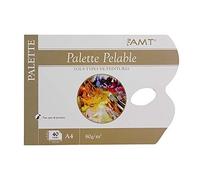 Amt Papier Palette Pelable (Ppp)