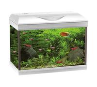 Amtra Basic 60 LED Aquarium avec Filtre Filtering Box 150 65 l Blanc 60 x 30 x 42 cm