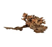 Amtra Bois Honeycomb - Taille M 30-50 cm - Décoration en Bois Naturel pour Aquariums - Tronc Naturel ornemental - Accessoire décor décoratif pour Terrari