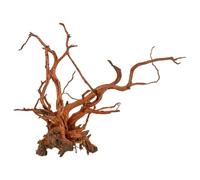 Amtra Bois Red Spider King - Taille M 45-75 cm - Décoration en Bois Naturel pour Aquariums - Tronc Naturel ornemental - Accessoire décor décoratif pour Terrari