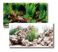 Amtra Deko Wonder Paroi murale imprimée des deux côtés en différentes tailles 2 en 1 pour décoration d'aquarium 100 x 60 cm