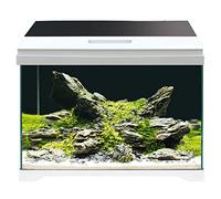Amtra Modesrn Tank 50 LED - Aquarium Complet avec Éclairage LED et Filtre Interne / cm 50,5 x 25,5 x 40 / 40 L