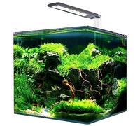 Amtra Nanotank, Aquarium en Verre Equipé LED et Pompe, 30L, Dimensions 30 x 30 x 35 cm