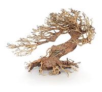 Amtra - Oriental Wind 3 Bois, Fait Main, pour Aquarium, 30 x 13 x 23 cm