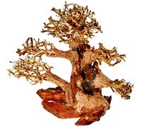 Amtra - Oriental Wind 4 Bois, Fait Main, pour Aquarium, 23 x 10 x 17 cm