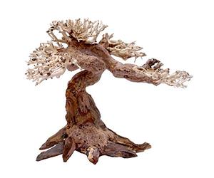 Amtra - Oriental Wind 5 Bois, Fait Main, pour Aquarium, 30 x 10 x 20 cm