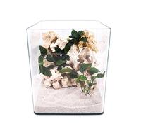 Amtra Technik Nanotank 20 Bouchon pour Aquarium Cube en Verre panoramique Verre d'eau Douce Cube Cube