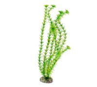 Amtra Wave Cabomba Plante Classique pour Aquariophilie Taille XL