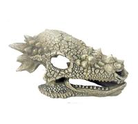 Amtra Wave Crâne Dragon Objet d'Ornement pour Aquariophilie